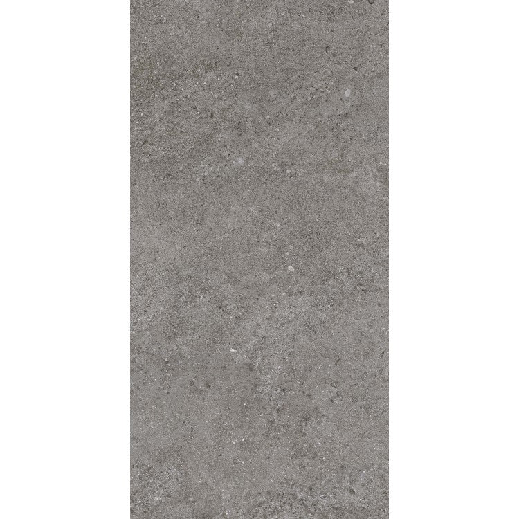 Arenite Dark Grey 30 x 60cm Porcelain Tiles