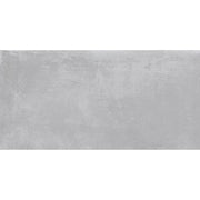 Loft Ash Glazed Porcelain W&F 300x600mm