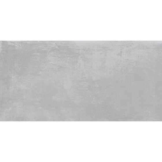 Loft Ash Glazed Porcelain W&F 300x600mm