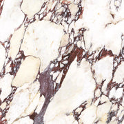 Calacatta Viola Matt Italian Porcelain Wall and Floor Tile 600x600mm with 30 Faces P16001