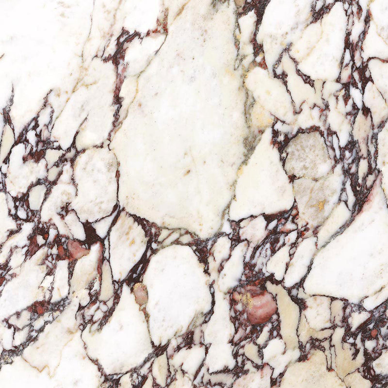 Calacatta Viola Matt Italian Porcelain Wall and Floor Tile 600x600mm with 30 Faces P16001