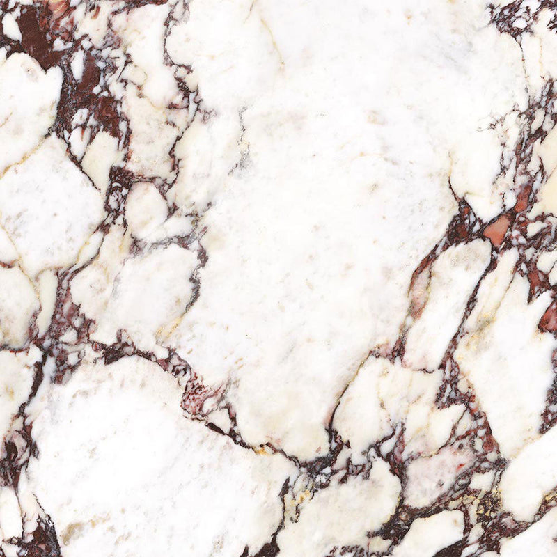 Calacatta Viola Matt Italian Porcelain Wall and Floor Tile 600x600mm with 30 Faces P16001