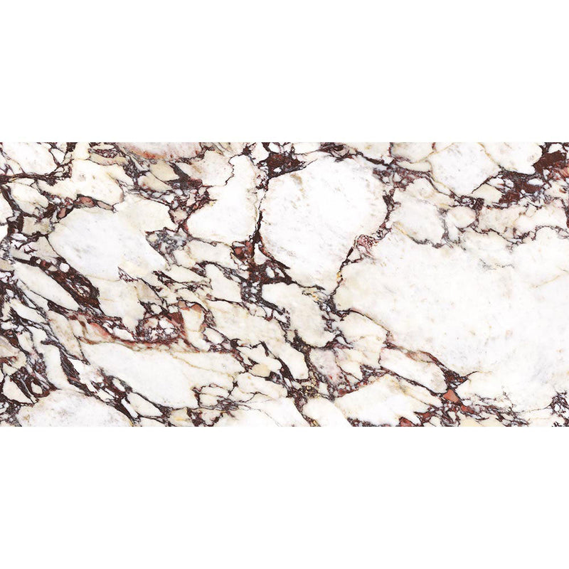 Italian Calacatta Viola Matt Porcelain Wall and Floor Tile 600x1200mm with 15 Faces P16002
