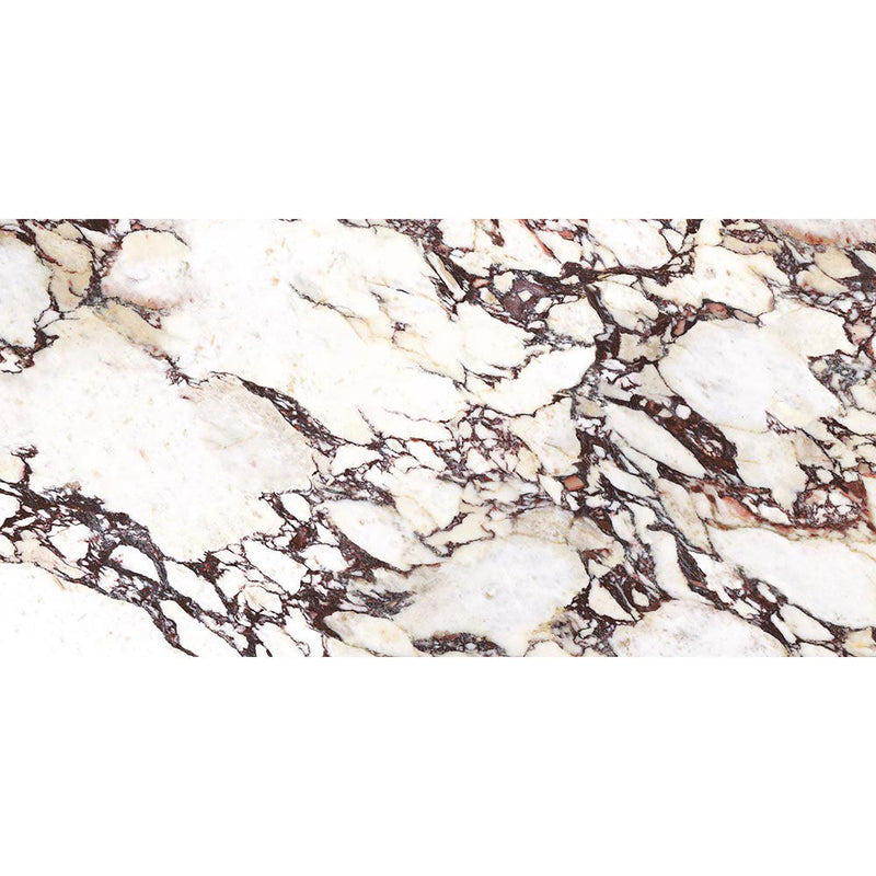 Italian Calacatta Viola Matt Porcelain Wall and Floor Tile 600x1200mm with 15 Faces P16002