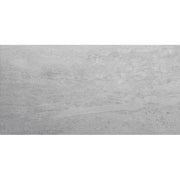 Pallington Light Grey Gloss 250 x 500 Salerno Ceramic Wall Tile