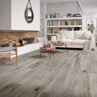 Articwood Argent Porcelain Wood Tile