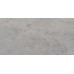 Blakeley Grey Matt 250x500mm Ceramic Wall Tile