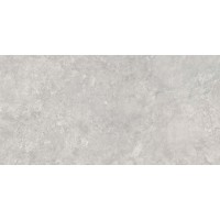 Premiere Grey Ceramic Wall Tile